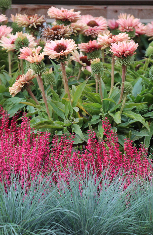 UNSERE GARTENERLEBNISWELT BIETET MIT BER 11.000m FLCHE ALLES FR GARTENLIEBHABER, SOWIE DEKORATIVES FR INDOOR & OUTDOOR.